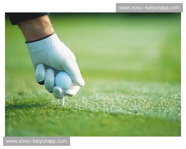 高尔夫效率值:提升球场表现的秘密武器 高尔夫效率值:提升球场表现的秘密武器